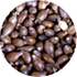 Coix Seed Image