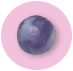 Juniper Berry Image