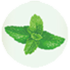 Peppermint Image
