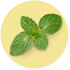 Peppermint Leaf Image