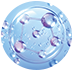 10 Types of Peptides