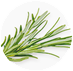 Rosemary Leaf Image